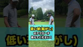 これで完璧！転がしアプローチを伝授します！！【BONちゃん編】 ＃shorts ＃mygolf #ゴルフ