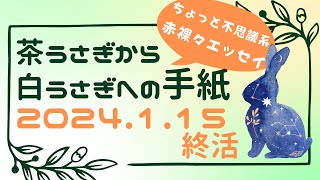 茶うさぎから白うさぎへの手紙 2024「15.終活」