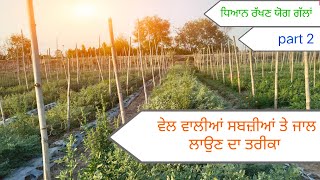 ਵੇਲ ਵਾਲੀਆਂ ਸਬਜ਼ੀਆਂ ਤੇ ਜਾਲ ਲਾਉਣ ਦੀ ਜਾਣਕਾਰੀ #viral #trending #farming #farmer #trendingvideo #trap