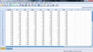 004 Inserting, Moving, and Deleting Variables in SPSS