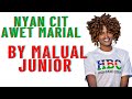 Nyan Cit Awet Marial by Malual Junior (Official Audio) South Sudan music 🎵🎶.