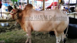 Rahmatgonj Haat 2022 | Puran Dhaka Gorur Haat | Beautiful Hasha Collection