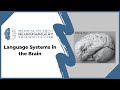 Language Systems in the Brain