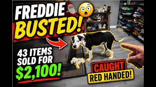 43 Items Sold for $2,100… And Freddie Got Busted!
