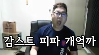 감스트 피파 억까