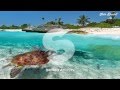 Imagine Dragons - It's Time (Matoma Tropical Remix)