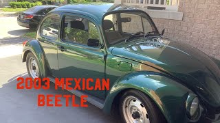 2003 Mexican Beetle Tour