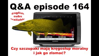 Q\u0026A odcinek - Czy szczupak ma kręgosłup moralny i jak go złamać?