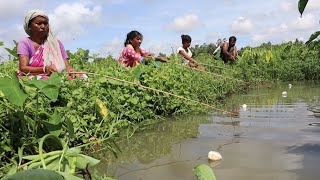 Fishing video || traditional three lady & man catch hook fishing 🎣 in village mud canal water #fish
