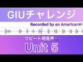 giuチャレンジ unit 5 grammar in useを使ったトレーニング