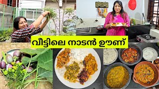 MOLLYS GARDENലെ പച്ചക്കറികളും തനി നാടൻ ഊണും | ചീര ചേമ്പ് പുളിങ്കറി | കത്തിരിക്ക ടൊമാറ്റോ കൂട്ടും