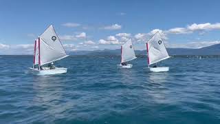 Camp Optimist. École de voile de Terre Sainte, Lac Léman, Suisse