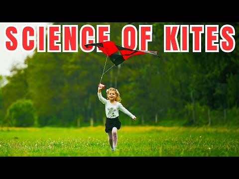 What forces act on a kite?