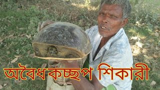 অবৈধ কচ্ছপ শিকারি  কিভাবে কচ্ছপ শিকার করে দেখুন ।