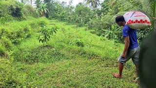 Empowering Village Youth: Reviving Tradition Through Jenitri Cultivation with Organic Fertilization