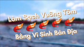 Cùng sống xanh số 11: Làm sạch vuông tôm bằng vi sinh bản địa