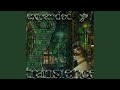 Transience Expanded