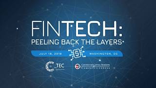FinTech: Peeling Back the Layers