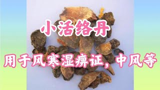 小活络丹，可以祛风除湿化痰通络，活血止痛，用于风寒湿痹中风证