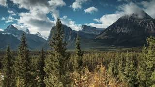 Jasper National Park Fall Colors in 4K 60fps Aerial Footage - Spectacular Autumn Views!