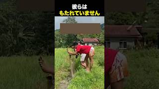 これは可哀想w#海外の反応 #海外のリアクション #外国人 #おもしろ動画 #爆笑動画 #笑える #バズった動画 #癖が強い #shorts #ドッキリ