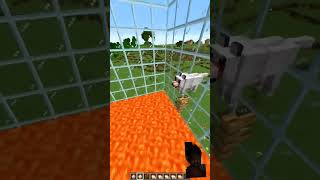 1,000 dogs VS sheep #minecraft #minecraftmemes #memes #gaming #funny #minecrafmemes