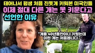 태어나서 평생 처음 진돗개 키워본 미국인들의 반응