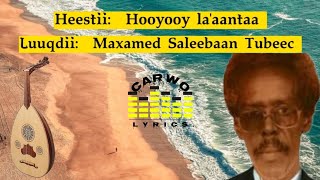 Maxamed Saleebaan Tubeec|| Hooyooy La'aantaa|| Kaban Version|| Carwo Lyrics