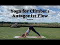 35 min Antagonist Flow for Shoulder, Arm & Wrist Strength and Health | Yoga for Climbers