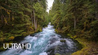 Calming Blue MOUNTAIN STREAM. Relaxing NATURE Sounds. White Noise for Stress Relief and Sleeping.