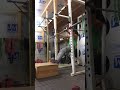 bar muscle up drill