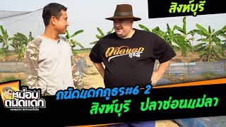 ถนัดแดกภูธร#6-2 สิงห์บุรี  ปลาช่อนแม่ลาของจริง