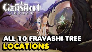 All 10 Fravashi Tree Locations In Genshin Impact 3.6