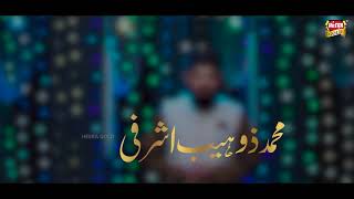 New Rabilulawal Naat 2020 -Zohaib Ashrafi - Nabi ka lab par jo zikr - Official Video - Islamic TV
