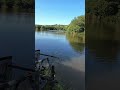 Now that’s a METHOD FEEDER BITE #fishing #carping #fishingtechniques #carps #carp #fish