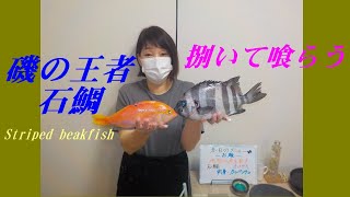 【磯の王者　石鯛を捌いて喰らう】Cook and eat striped beakfish