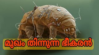 ഈ  ഭീകരൻ നമ്മുടെ അടുത്ത് തന്നെ ഉണ്ട്, Face eating monster  #demodex #facemite