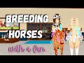 *BREEDING HORSES* With a Fan! | Wild Horse Islands