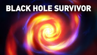 The First Known Survivor of a Rendez-vous with a Black Hole