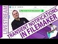 Transient Notifications in FileMaker Beginners | Intermediate Developers - FileMaker 23 Livestream