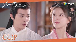 Clip | Yunzhi says he will marry Sang Qi | WeTV | A Female Student Arrives at the Imperial College