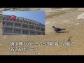 enjoy living@fukuoka 『てつさんぽ tetsu sanpo tetsu san’s walk 』 福岡「唐人町編」（tojinmachi）