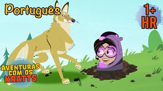 Os poderes da marmota de Aviva [episódios completos] Aventuras com os Kratts