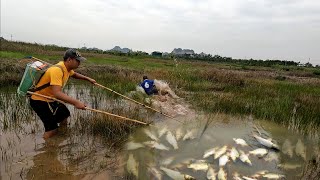 QUYEN FISHING198 | Young man chasing giant fish on wild lagoon.