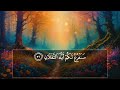 surah rahman urdu tarjuma ke sath abdul basit samad heart touching u0026 powerful quran recitation