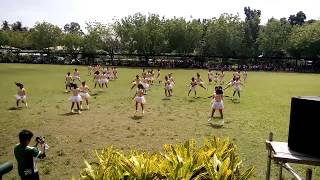 NDMU-IBED Cheerdance Competition- Golden Dragons