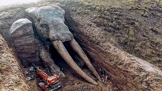 HOW is This Even POSSIBLE!? This Discovery TERRIFIED All Scientists! Top 50