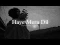 Haye Mera Dil (Slowed + Reverb) | Alfaaz, Honey Singh