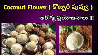 Coconut Flower ( కొబ్బరి పువ్వు ) Health Benefits in Telugu