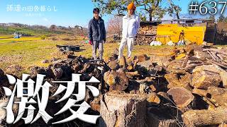 【ビフォーアフター】大量の薪の山をスッキリさせて地面が見たい! #637